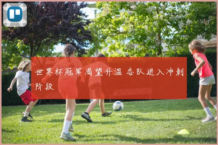 世界杯冠军渴望升温 各队进入冲刺阶段