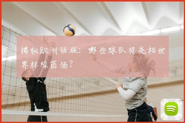 揭秘欧洲劲旅：哪些球队将亮相世界杯绿茵场？