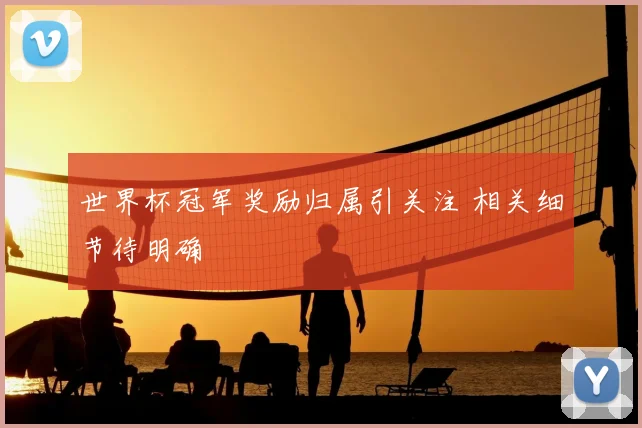 世界杯冠军奖励归属引关注 相关细节待明确