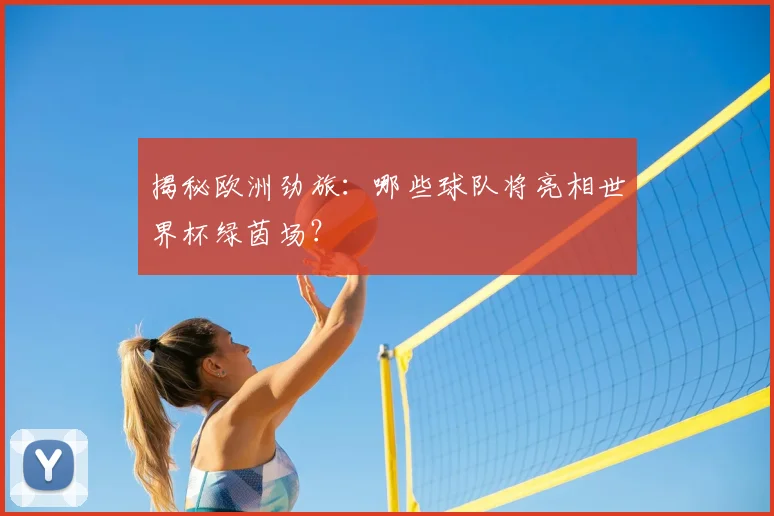 揭秘欧洲劲旅:哪些球队将亮相世界杯绿茵场?