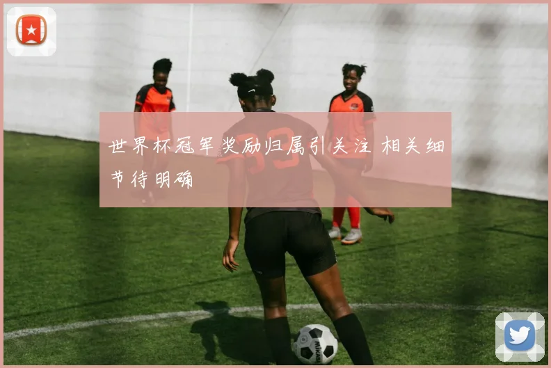 世界杯冠军奖励归属引关注 相关细节待明确
