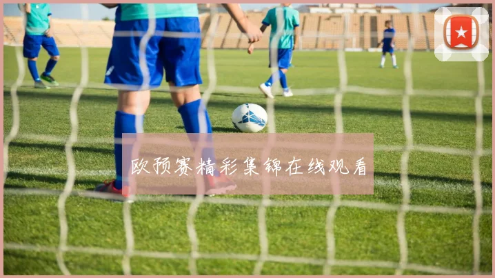 欧预赛精彩集锦在线观看