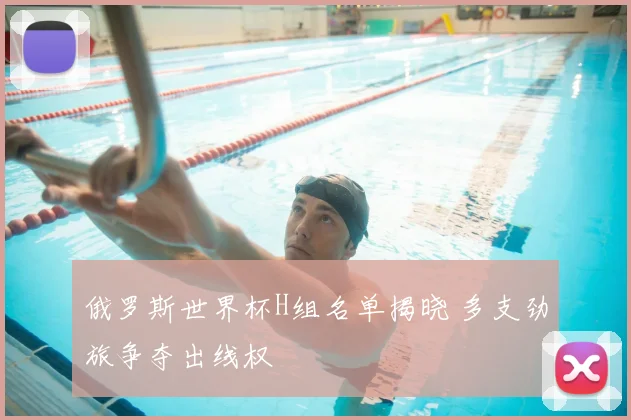 俄罗斯世界杯H组名单揭晓 多支劲旅争夺出线权
