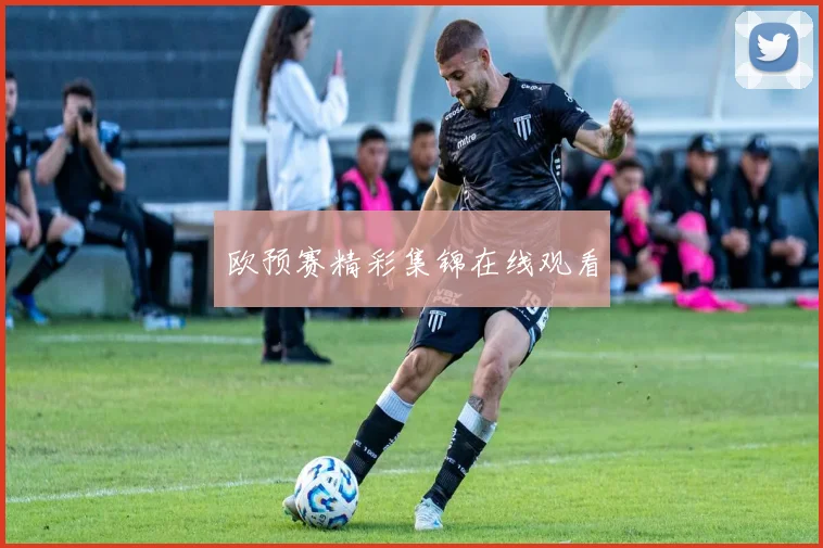 欧预赛精彩集锦在线观看
