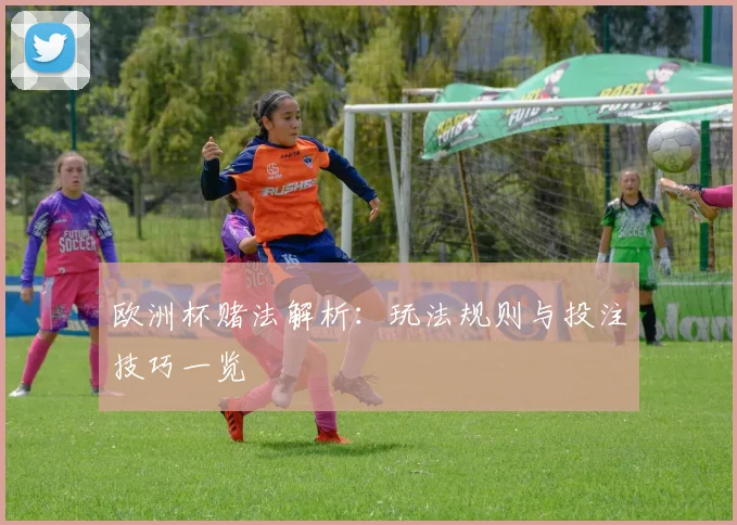 欧洲杯赌法解析：玩法规则与投注技巧一览