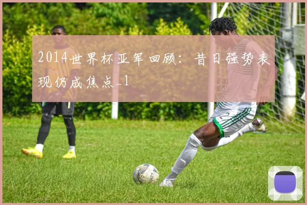 2014世界杯亚军回顾:昔日强势表现仍成焦点_1