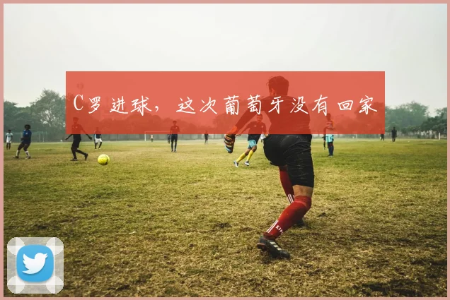 C罗进球，这次葡萄牙没有回家