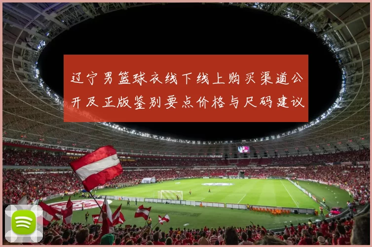 辽宁男篮球衣线下线上购买渠道公开及正版鉴别要点价格与尺码建议