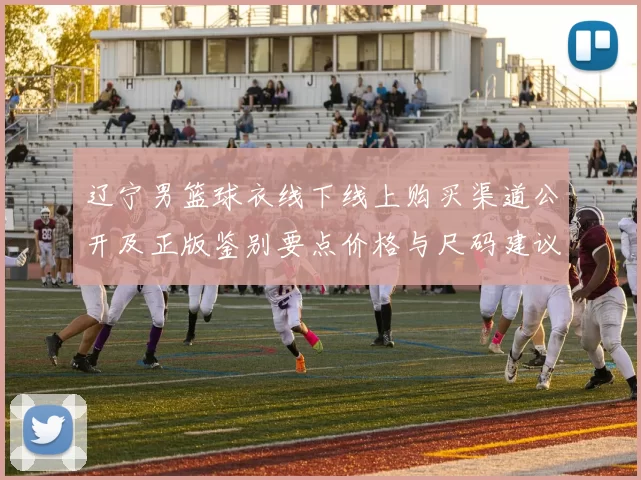辽宁男篮球衣线下线上购买渠道公开及正版鉴别要点价格与尺码建议