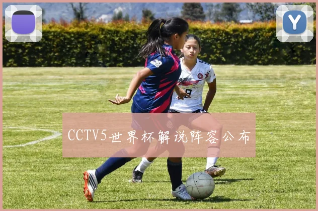 CCTV5世界杯解说阵容公布