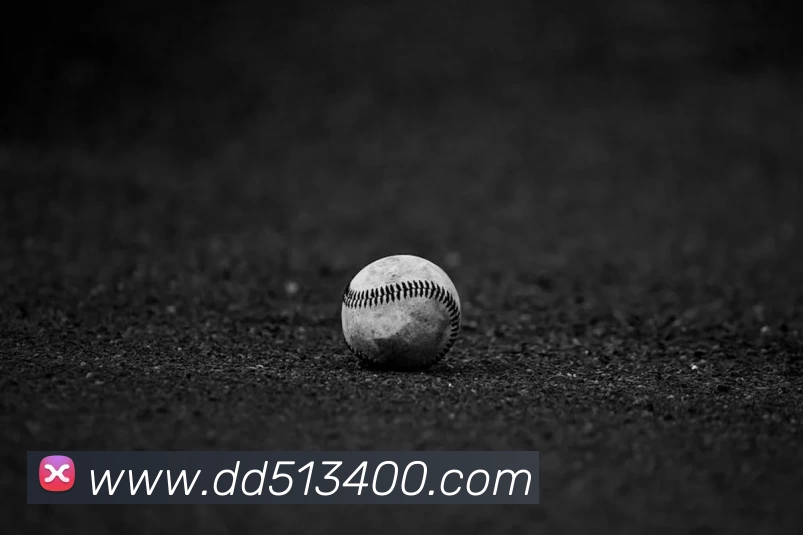 k体育直播(中国)有限公司 - 官网平台生态图